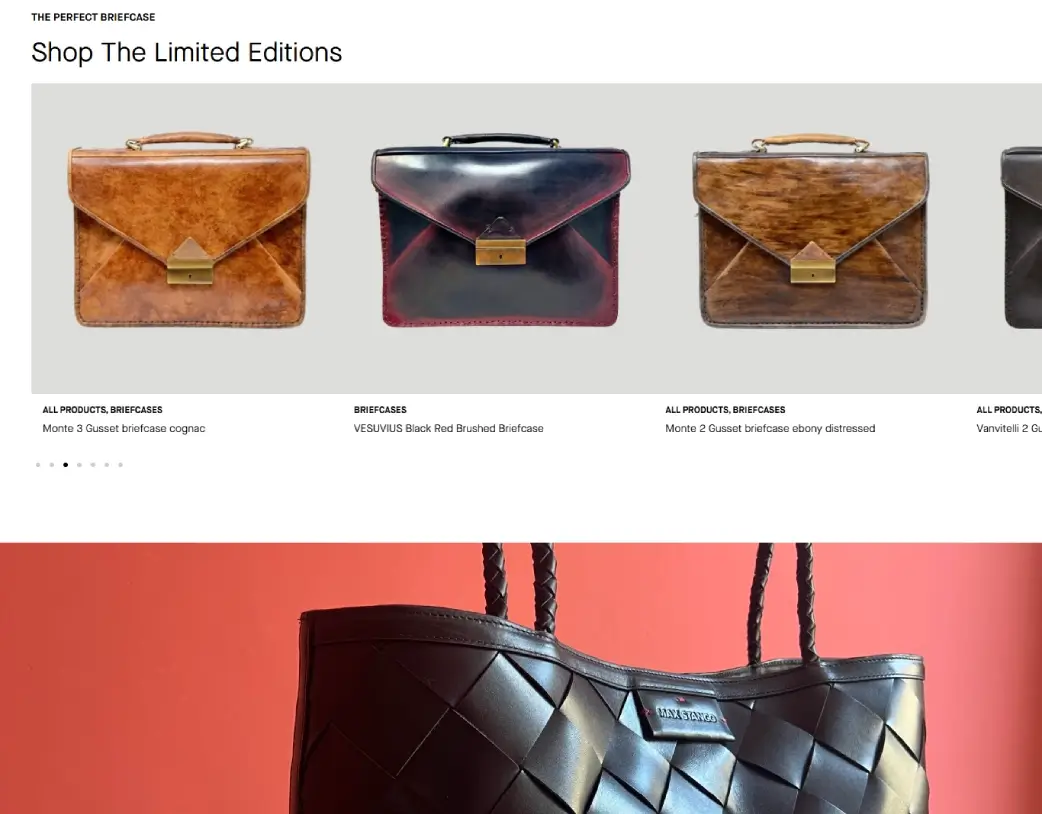 Briefcase shop grid section on the Max Stanco WooCommerce homepage, designed and developed using Elementor by Vishal Chaudhary