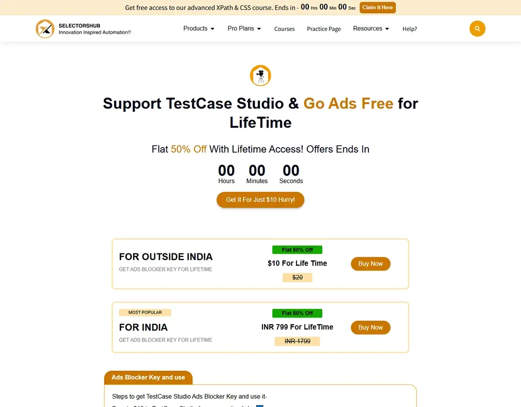 SelectorsHub payment details section with title offer pricing and purchase link created in the Elementor Pro Website Redesign by Vishal Chaudhary
